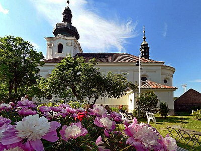 Libice